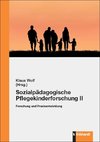 Sozialpädagogische Pflegekinderforschung II