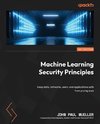 Machine Learning Security Principles