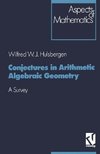 Conjectures in Arithmetic Algebraic Geometry