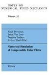 Numerical Simulation of Compressible Euler Flows