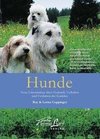 Hunde