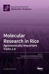 Molecular Research in Rice