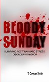 Bloody Sunday Surviving Post Traumatic Stress Disorder With EMDR