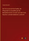 Die Vormundschaft (la Tutelle), die Pflegschaft (la Curatelle) und die Beistandschaft (le Conseil) nach dem Code Napoleon und dem badischen Landrecht