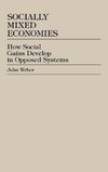 Socially Mixed Economies