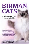 Birman Cats