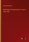 Bericht über die Ausgrabungen in Troja im Jahre 1890