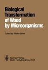 Biological Transformation of Wood by Microorganisms