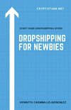 Dropshipping For Newbies