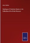 Catalogue of Colubrine Snakes in the Collection of the British Museum