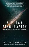 Stellar Singularity