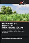 EFFICIENZA DEL SISTEMA DI IRRIGAZIONE SOLARE