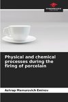 Physical and chemical processes during the firing of porcelain