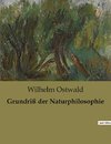 Grundriß der Naturphilosophie