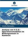 Analyse von V.S.O.-Operationsmodellen im Bildungswesen in Kamerun