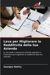 Leva per Migliorare la Redditività della tua Azienda