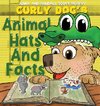 Curly Dog's Animal Hats And Facts