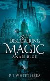 Discovering Magic