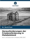 Herausforderungen der Friedensförderung in Matebeleland