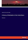 A History of Methodism in the United States