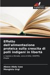 Effetto dell'alimentazione proteica sulla crescita di polli indigeni in libertà