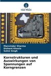 Kornstrukturen und Auswirkungen von Spannungen auf Korngrenzen