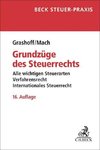 Grundzüge des Steuerrechts