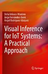 Visual Inference for IoT Systems: A Practical Approach