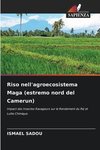 Riso nell'agroecosistema Maga (estremo nord del Camerun)