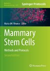 Mammary Stem Cells