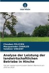 Analyse der Leistung der landwirtschaftlichen Betriebe in Hinche