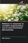 Mettere in relazione le variabili organizzative con le aree funzionali dell'azienda