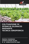 COLTIVAZIONE DI SPINACIA OLERACES MEDIANTE TECNICA IDROPONICA