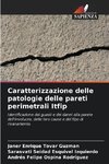 Caratterizzazione delle patologie delle pareti perimetrali Itfip