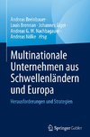 Multinationale Unternehmen aus Schwellenländern und Europa