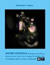 Water Crystals, Messages of the Souls