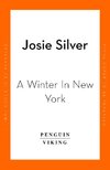 A Winter in New York