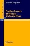 Familles de Cycles Algebriques - Schema de Chow