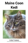 Maine Coon Kedi