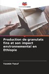 Production de granulats fins et son impact environnemental en Ethiopie