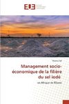 Management socio-économique de la filière du sel iodé