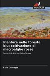 Piantare nelle foreste blu: coltivazione di macroalghe rosse