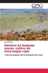 Siembra en bosques azules: cultivo de macroalgas rojas