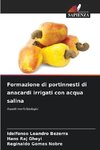 Formazione di portinnesti di anacardi irrigati con acqua salina