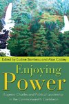 Enjoying Power