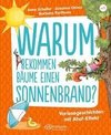 Warum bekommen Bäume einen Sonnenbrand?