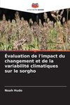 Évaluation de l'impact du changement et de la variabilité climatiques sur le sorgho