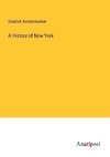 A History of New York