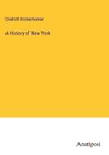 A History of New York