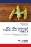 Effect of Fertigation and Irrigation Levels on Growth, Yield and